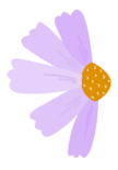 alltypebeautyessentials.com favicon